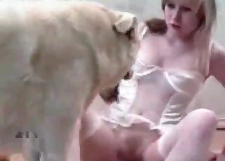 Filthy blonde spreads her legs to get hammered by her doggie