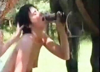 Short-haired brunette enjoys sucking horse's dick outdoors