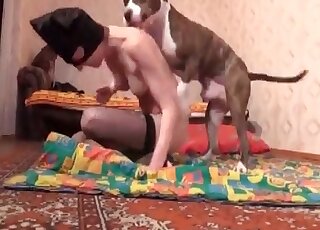 Dog can’t wait to fuck a masked slut in a homemade zoo porn action
