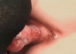 Wife goes mad about role playing and hot sex with her horny dog