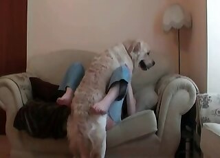 Fluffy dog finds a horny girl’s pussy really perfect for a hot fuck