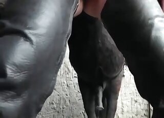 Vicious mature bitch trains stallions to fuck her huge stretched snatch