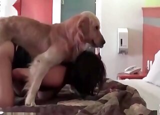 Hot vixen in a mask cannot stop riding and sucking a canine’s pink cock