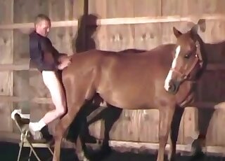 Perverted guy comes to the barn to enjoy rough sex with a horse