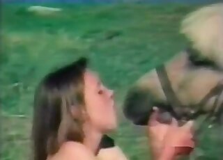 Naughty mature chick deepthroats a horse and rides on its dick