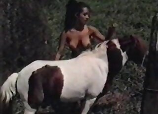 Big-assed Latina vixen goes for a pony’s cock and rides it ardently
