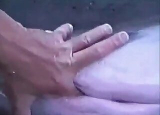 Man explores a deep hole of a big fish in the sea in a weird scene