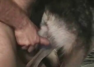 Horny wanker makes his dog enjoy rough and deep pounding