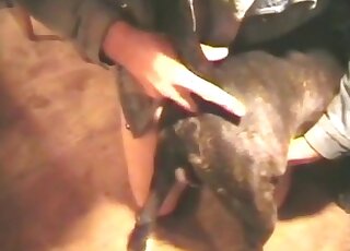 Zophile guy finger fucks his trained dog in a wild zoo porn scene