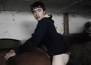 Horny guy enjoys his first zoo sex experience with a horse