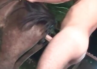 Naked dude comes up to a horse to give the animal some insertions