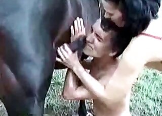 Filthy bitch slaps dude's face with an erected dick of a horse