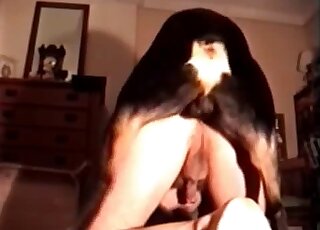 Guy with a tight butthole is going to get rammed by a black dog here