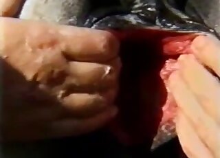 Horse pussy gape video showcasing the insides of a sexy animal