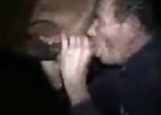 Bald zoophile licking all over the tip of this stallion's huge cock